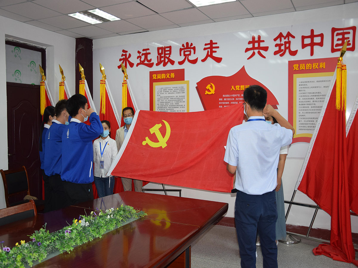 轻纺化工分院党总支开展庆“七一”党日活动