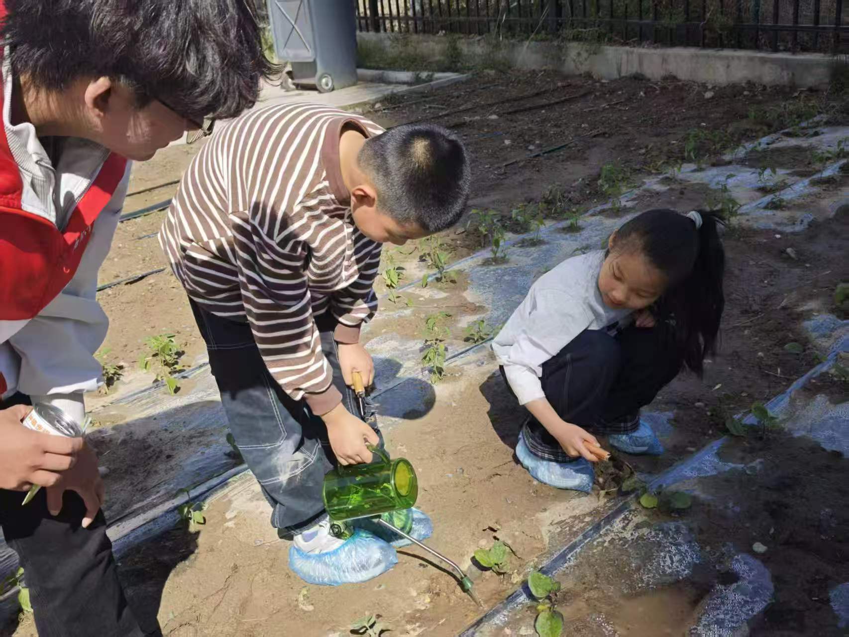 青春助力进社区 敬老护苗暖人心——学院青年志愿者协会开展“我为社区办实事”主题教育实践活动