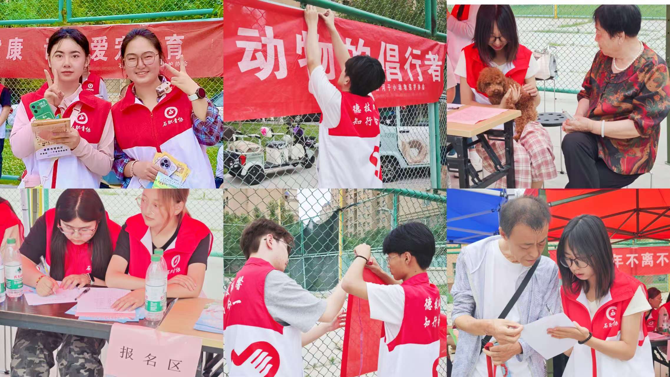 学院团委青年志愿者进社区开展“科学养宠,文明相伴”志愿服务活动