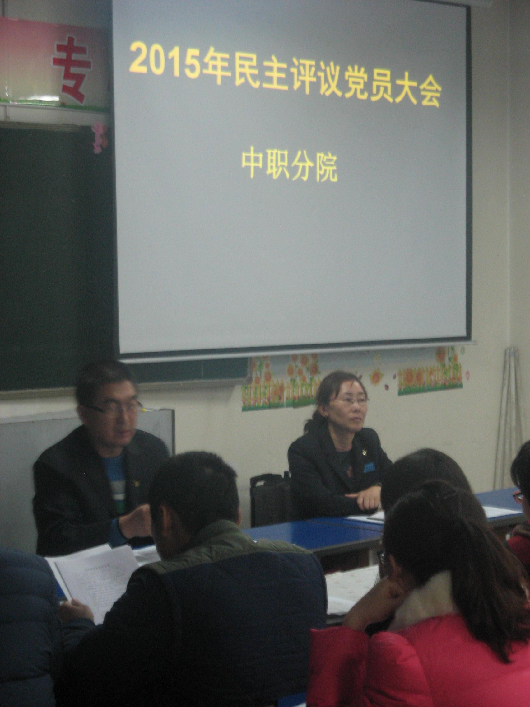 关于2015年度民主评议党员的工作汇报